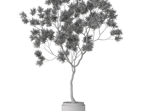 Plants collection 838 3D Модель