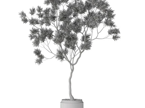 Plants collection 838 3D Model