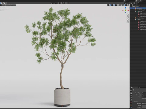 Plants collection 838 3D Model