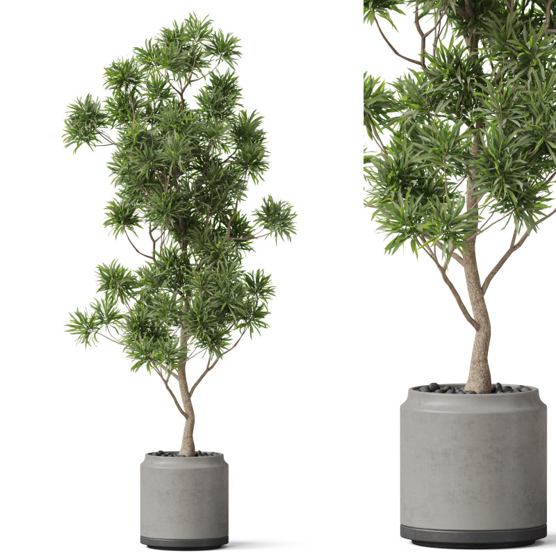 Plants collection 839 3D Модель .c4d .max .obj .3ds .fbx .stl .blend