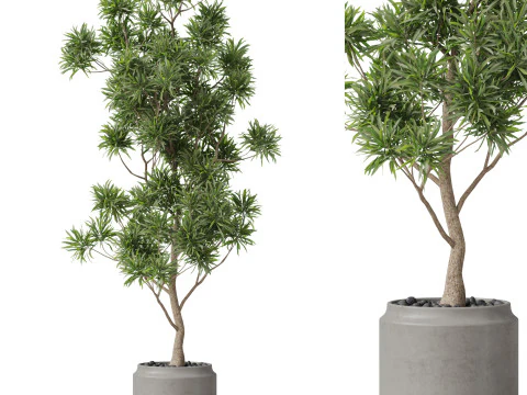 पौधों का संग्रह 839 3D मॉडल