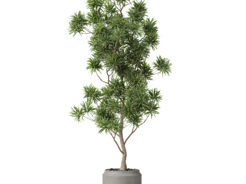 Plants collection 839 3D Model