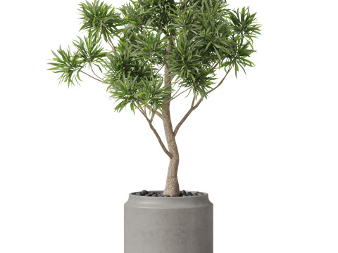 Plants collection 839 3D Модель