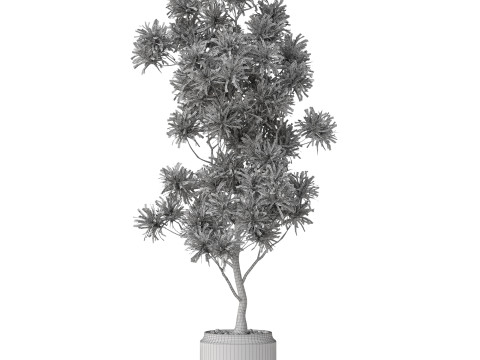 Plants collection 839 3D Модель