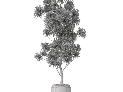 Plants collection 839 3D Model