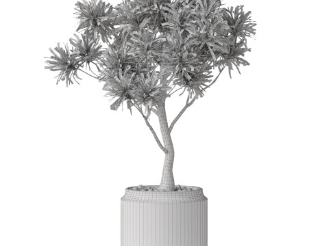 Plants collection 839 3D Модель
