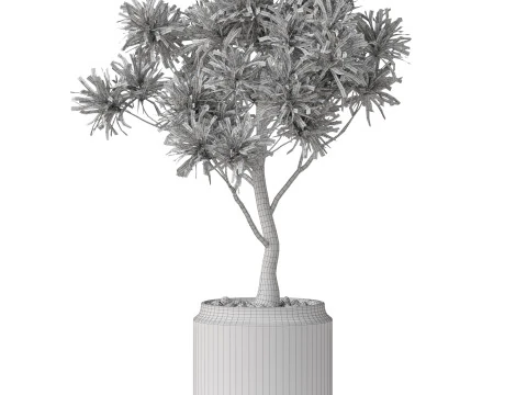 Plants collection 839 3D Model