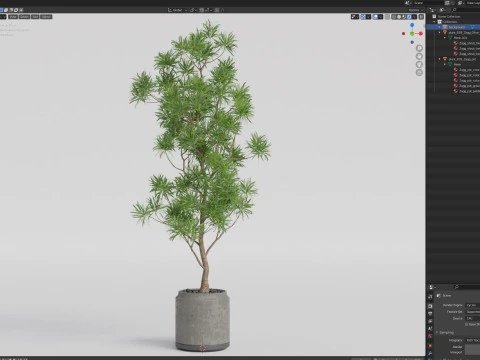Plants collection 839 3D Model