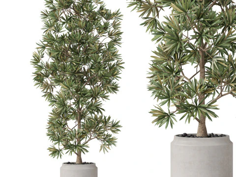 पौधों का संग्रह 840 3D मॉडल