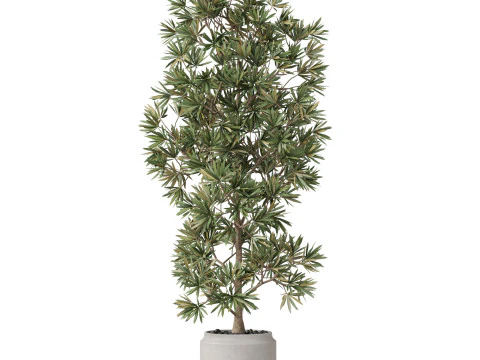 Plants collection 840 3D Model