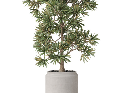 Plants collection 840 Modelo 3D