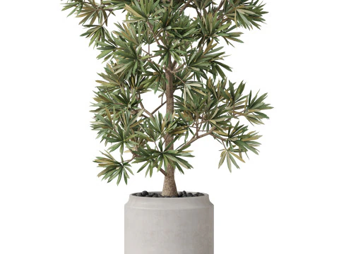 Plants collection 840 3D Model