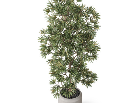 Plants collection 840 Modelo 3D