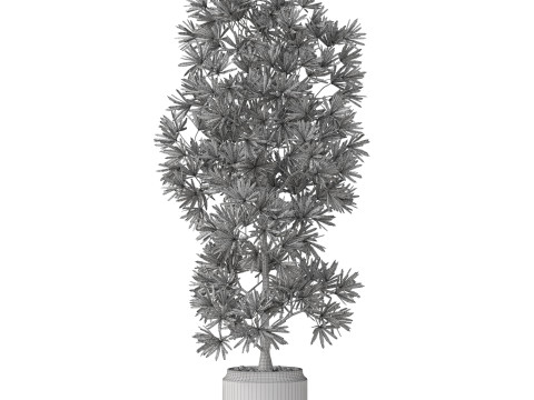 Plants collection 840 Modelo 3D