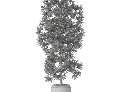 Plants collection 840 3D Model