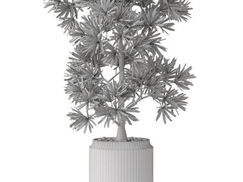 Plants collection 840 Modelo 3D