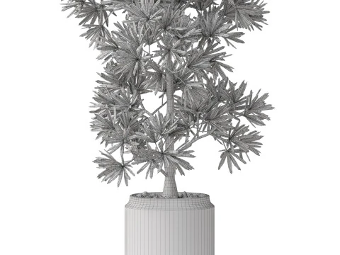 Plants collection 840 3D Model
