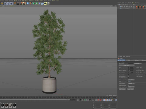 Plants collection 840 3D Model