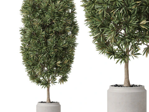 पौधों का संग्रह 841 3D मॉडल