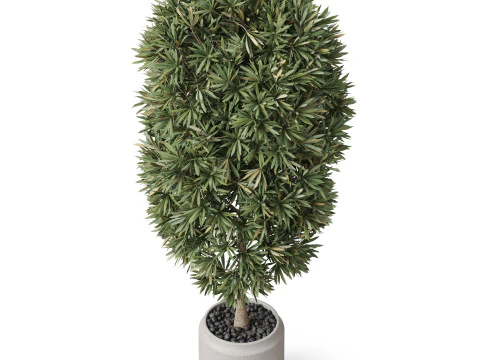 Plants collection 841 3D Model