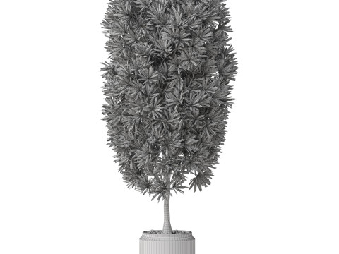 Plants collection 841 3D Model