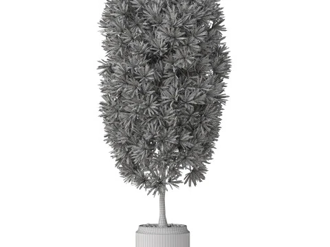 Plants collection 841 3D Model