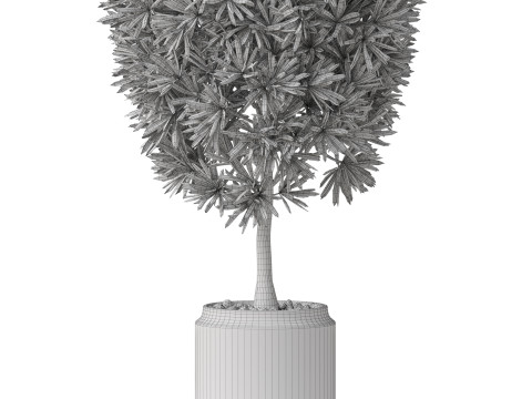 Plants collection 841 3D Model