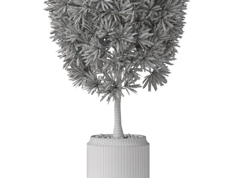 Plants collection 841 3D Model