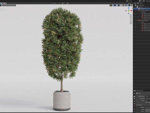 Plants collection 841 3D Model