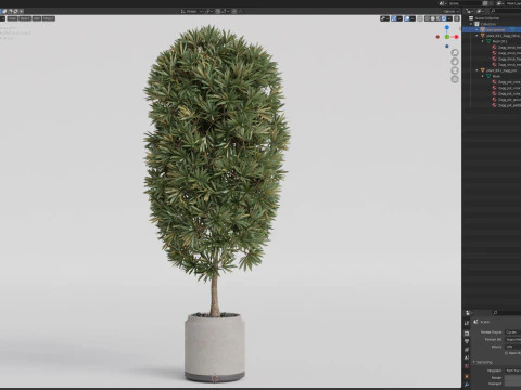 Plants collection 841 3D Model