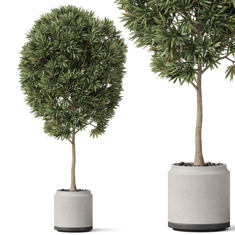 Plants collection 842 3D Model .c4d .max .obj .3ds .fbx .stl .blend