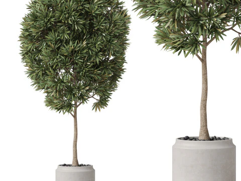 पौधों का संग्रह 842 3D मॉडल