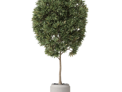 Plants collection 842 3D Model