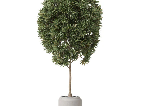Plants collection 842 3D Model