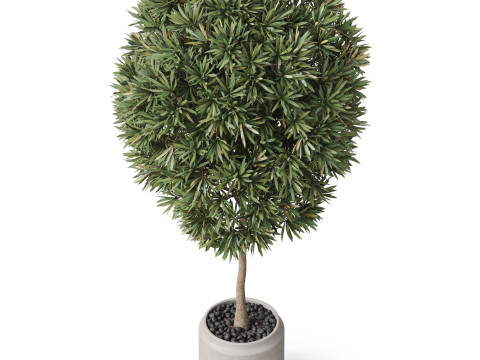 Plants collection 842 3D Model