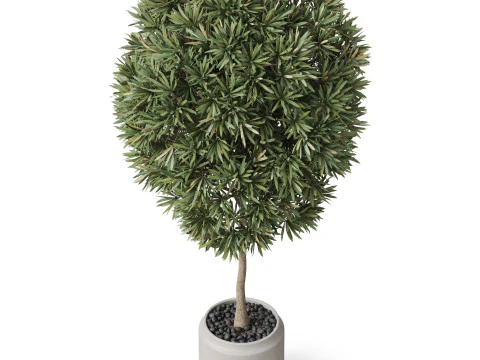 Plants collection 842 3D Model