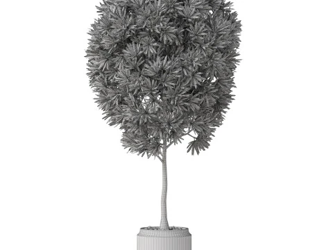 Plants collection 842 3D Model