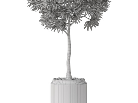 Plants collection 842 3D Model