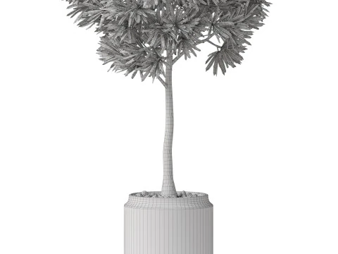 Plants collection 842 3D Model