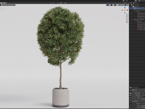 Plants collection 842 3D Model