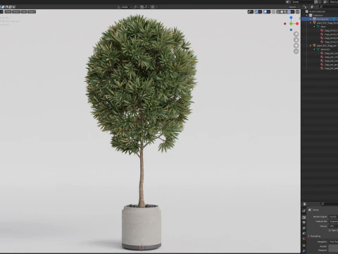 Plants collection 842 3D Model