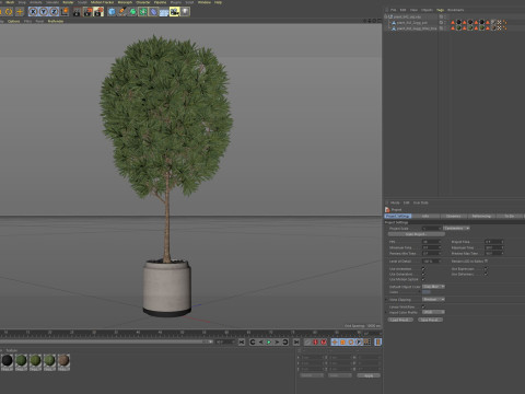 Plants collection 842 3D Model