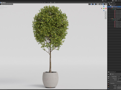 Plants collection 843 3D 模型