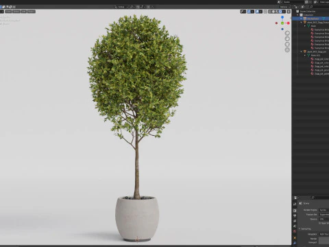 Plants collection 843 3D Model
