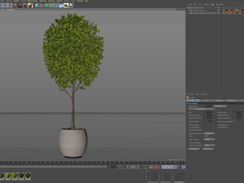 Plants collection 843 3D 模型