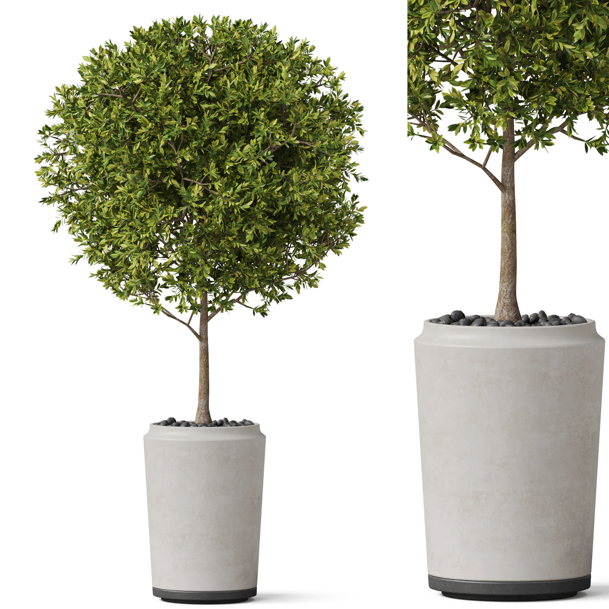Plants collection 844 3D Model .c4d .max .obj .3ds .fbx .stl .blend 
