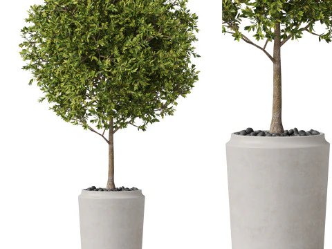 पौधों का संग्रह 844 3D मॉडल