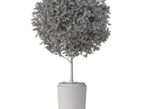 Plants collection 844 Modèle 3D