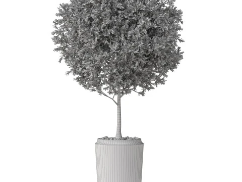 Plants collection 844 3D Model