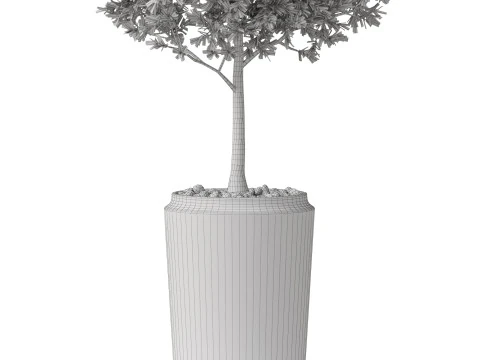 Plants collection 844 3D Model